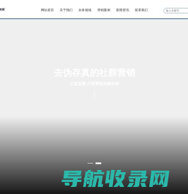 网站截图