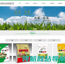 网站截图