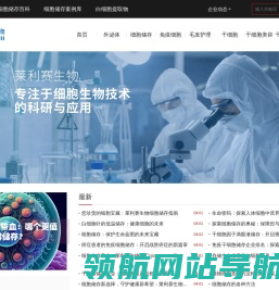 网站截图