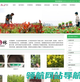网站截图