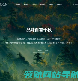 网站截图