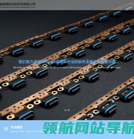 网站截图