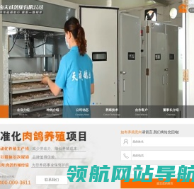 网站截图
