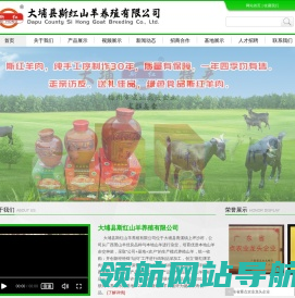 网站截图