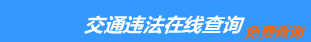 （手机版）贵州交通违章查询
