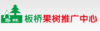果树苗