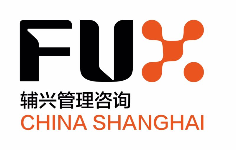 辅兴咨询