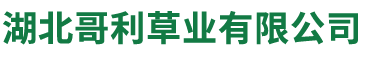 湖北草种批发,武汉草籽,边坡护坡草种,花卉种子,绿化草种资材批发,草籽批发