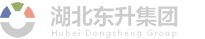 湖北东升人力资源有限责任公司