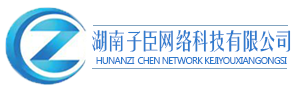 湖南子臣网络科技有限公司