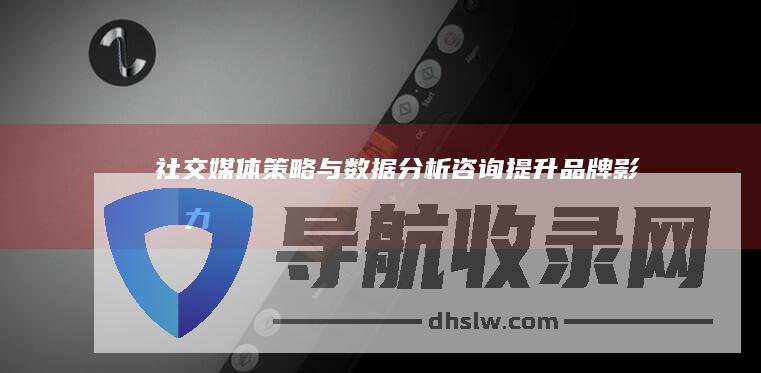 社交媒体策略与数据分析咨询：提升品牌影响力 (社交媒体策略师)