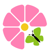 花语网丨解读花语含义