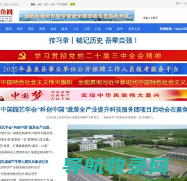 网站截图
