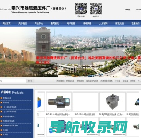 摆线齿轮泵