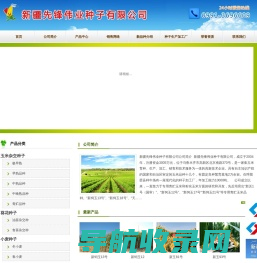 新疆玉米杂交种子厂家