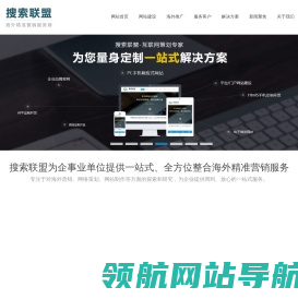 搜索联盟