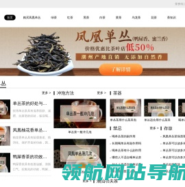 懂茶帝