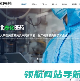 湖北志化医药化学有限公司