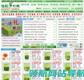 信阳毛尖