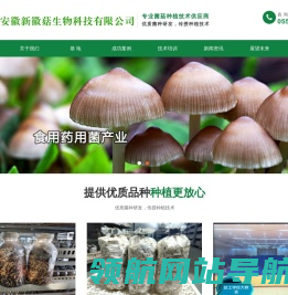 合肥食用药用菌种植