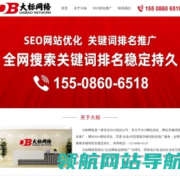大标网络丨专业SEO优化公司
