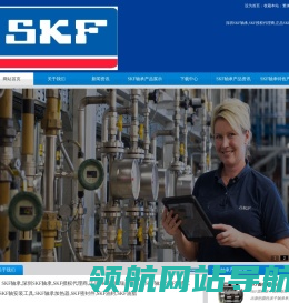 SKF轴承