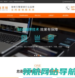 武汉SEO推广