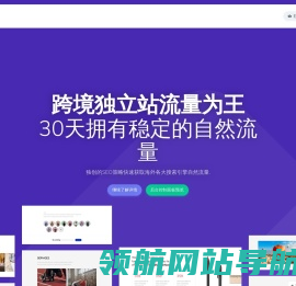 外贸独立站