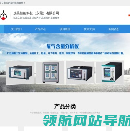 氧气含量分析仪
