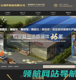 纯铜铸件