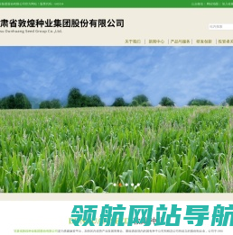 敦煌种业