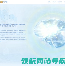 浙江脑动极光医疗科技有限公司