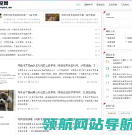 I宠网