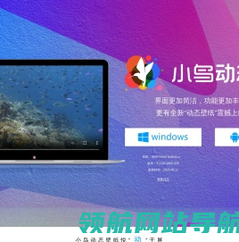 小鸟动态壁纸官网