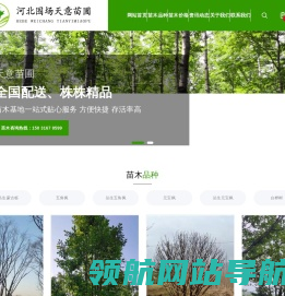 河北围场天意苗木基地