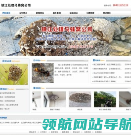 镇江灭马蜂窝