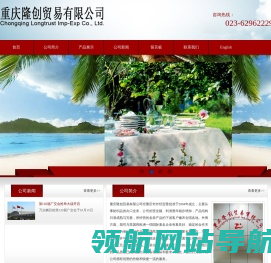 重庆隆创贸易有限公司